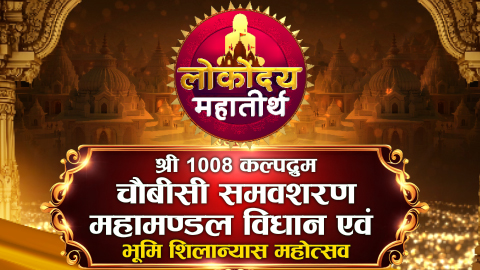 महामण्डल विधान